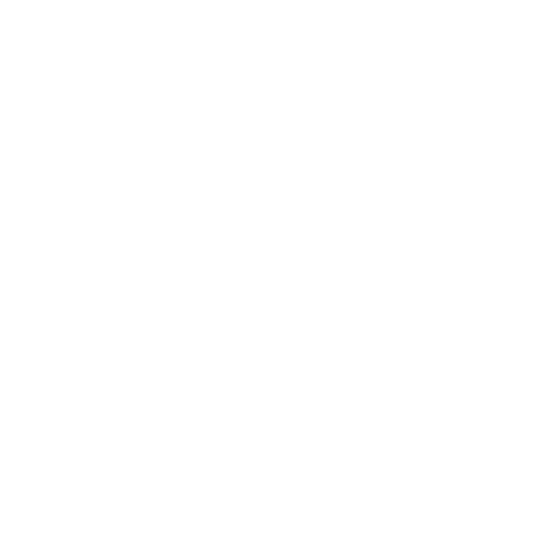 Vitality and wellness icon symbolizing balanced energy, recovery, and whole-body support from MycoMaté adaptogenic blend.